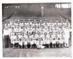 1944 St. Louis Browns AL CHAMPS original photo