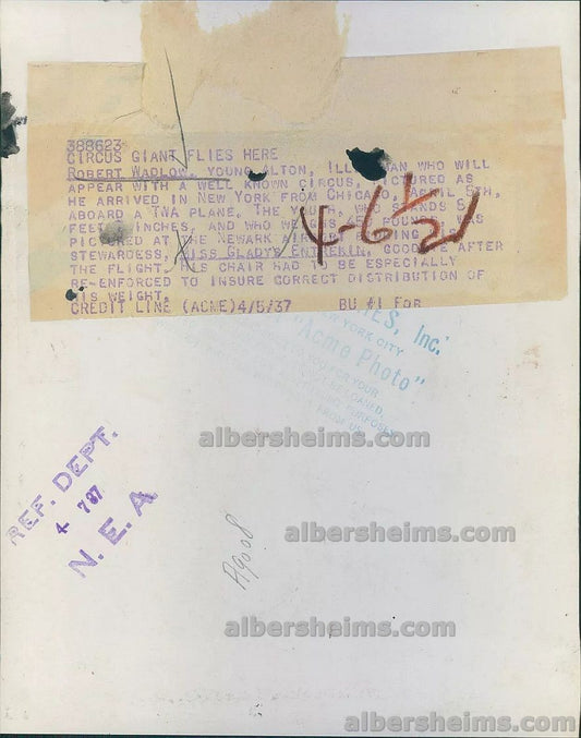 World's Tallest Man Giant Robert Wadlow with TWA Airlines Stewardess Original TYPE I photo