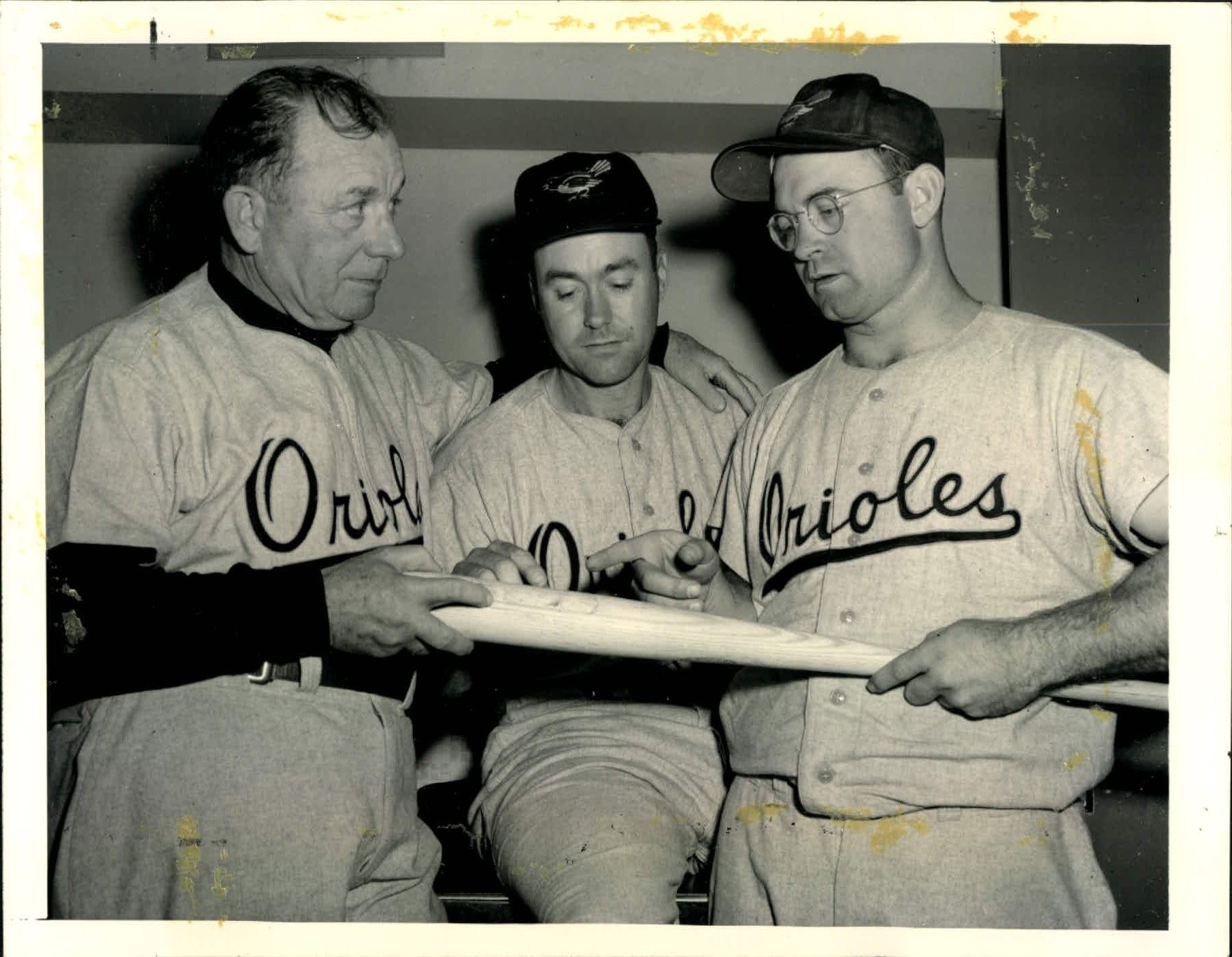 Baltimore Orioles 1954