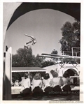 1940 Synchronized Diving Marjorie Gestring Ruth Jump Palm Springs Original TYPE 1 Photo PSA/DNA LOA