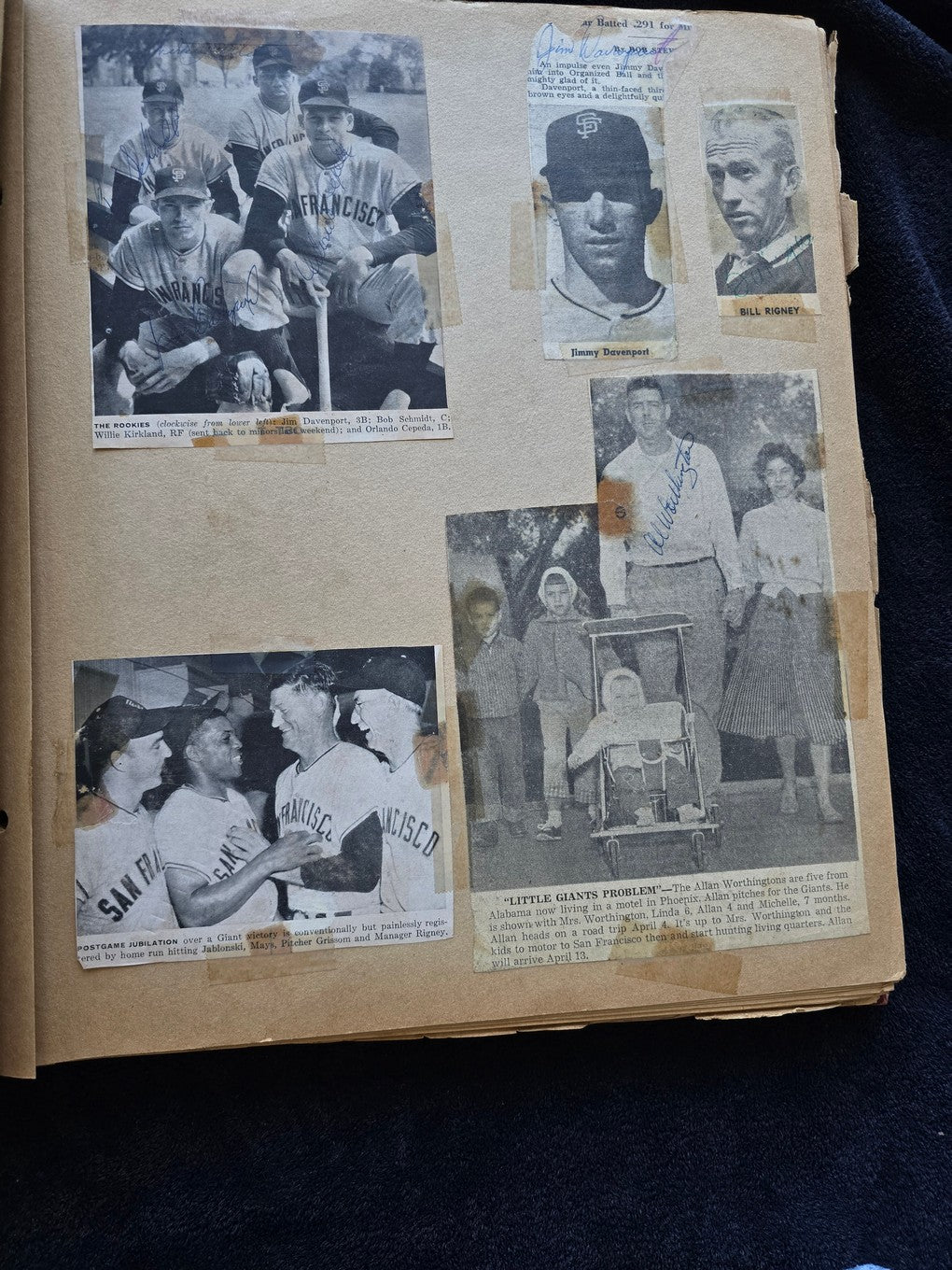 1950s Baseball Football Basketball Scrapbook /w Approximately 350 Autographs Rogers Hornsby x 3 Loaded