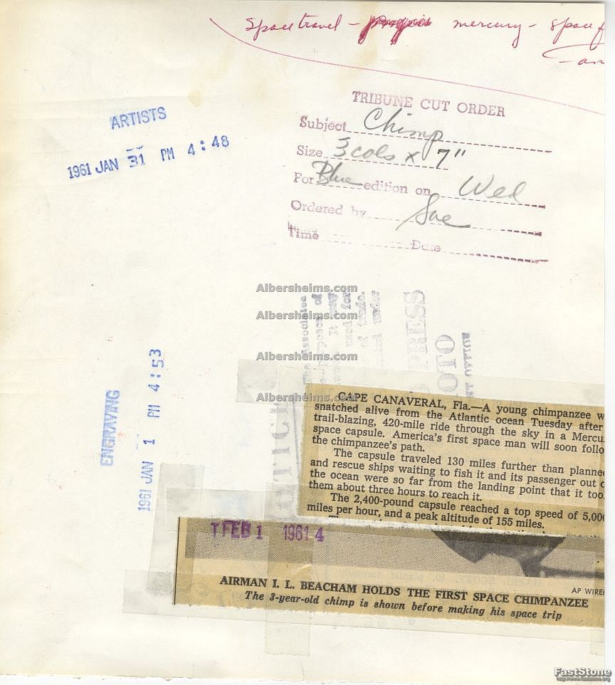 Ham the Chimp Gets Ready for his Space Mission Original 1961 Associated Press Photo