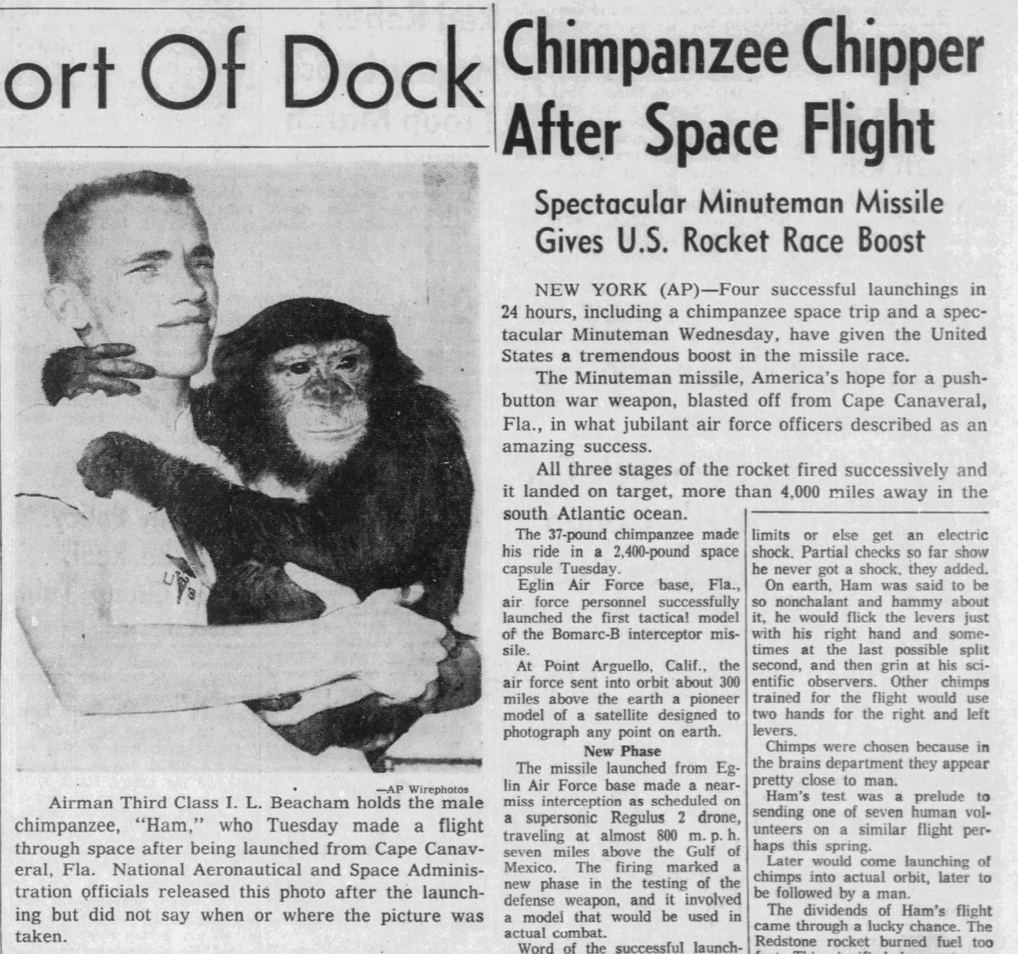 Ham the Chimp Gets Ready for his Space Mission Original 1961 Associated Press Photo