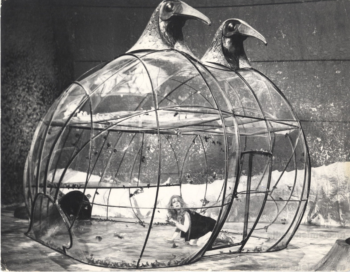 1968 Jane Fonda Super Sexy Barbarella Cult Classic Double Weight Original TYPE 1 photo