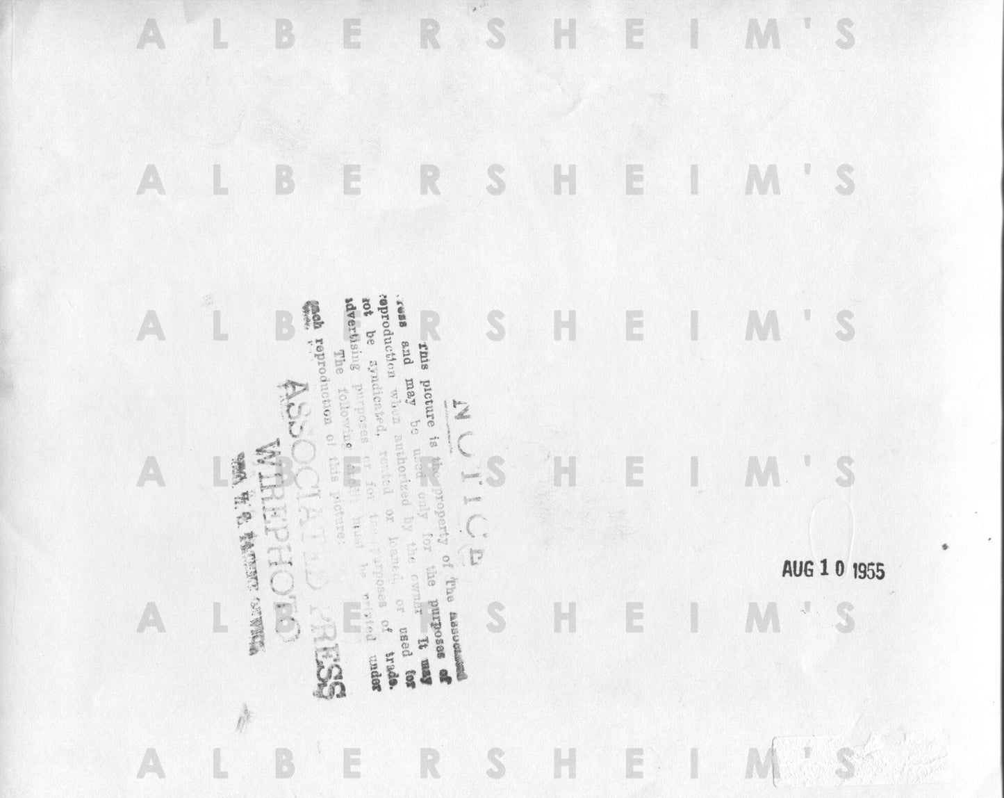 1955 Baltimore Orioles Sluggers - Gus Triandos & Dave Philley original photo