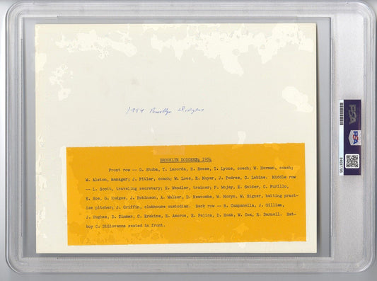 1954 Brooklyn Dodgers Team /w Jackie Robinson TYPE 3 original Photo PSA/DNA