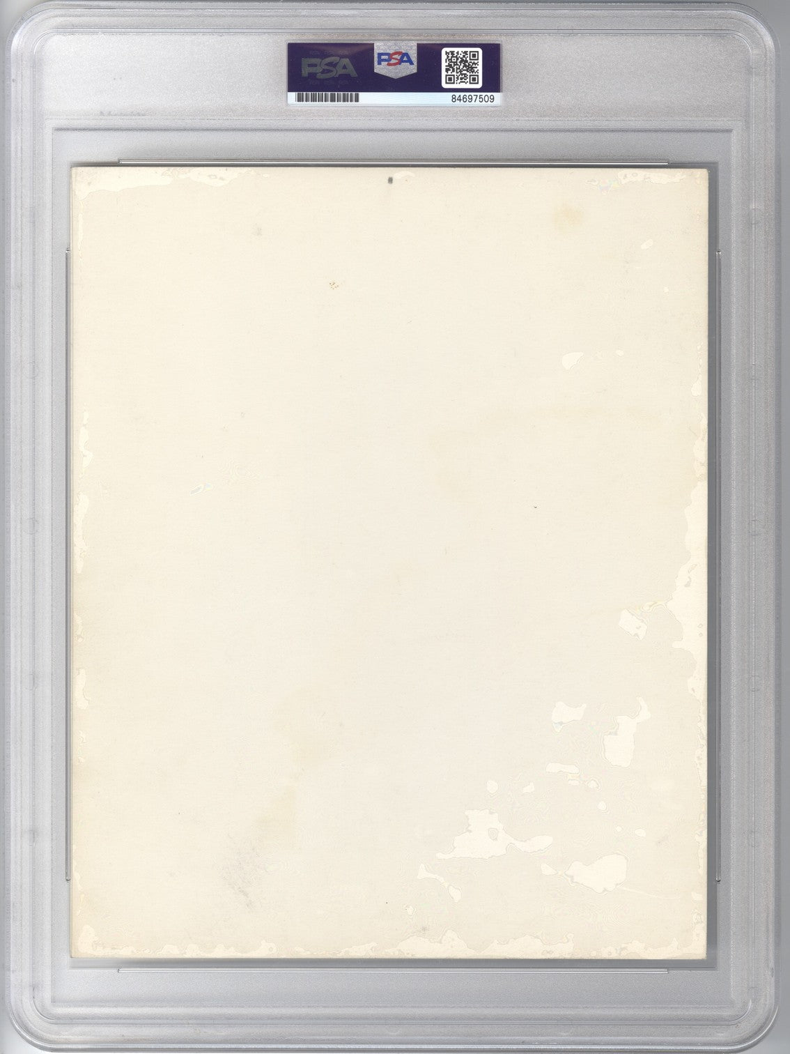 1960's John F. Kennedy and Family Original Doubleweight TYPE III photo PSA/DNA