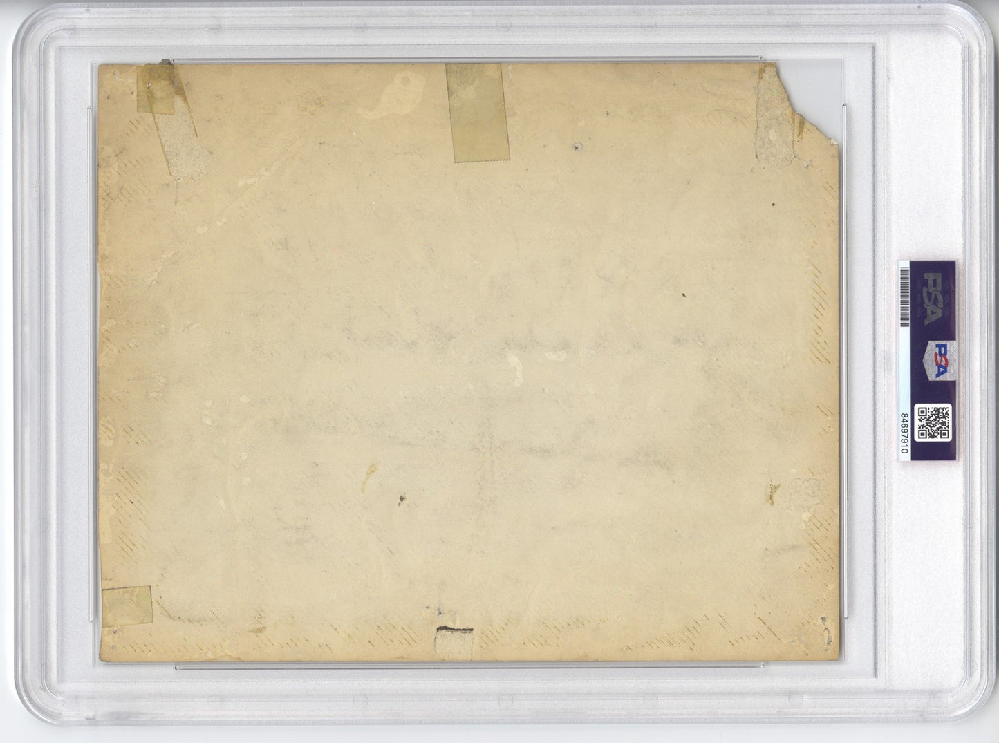 1920s Homestead Grays Negro League Baseball Team Original TYPE 1 photo with Raymond Mo Harris