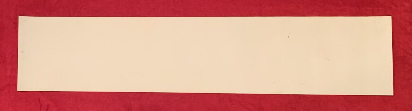 1924 Akron Indians Professional Football Team Panorama TYPE I Original Photo with African American NFL pioneer Sol Butler