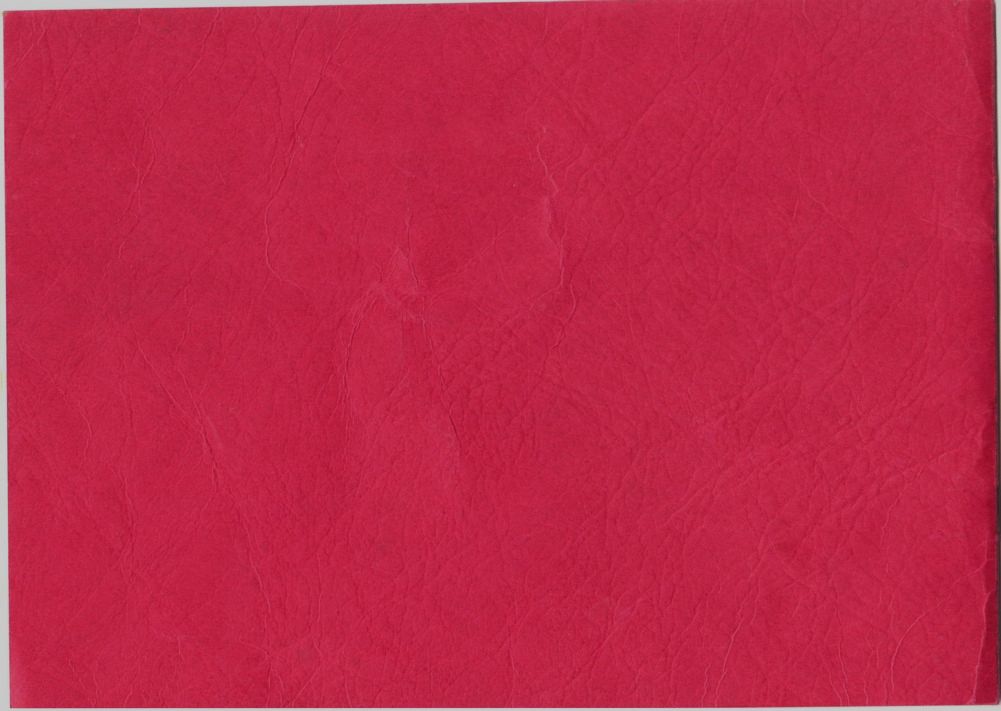 1950-51 SHEBOYGAN REDSKINS NPBL BASKETBALL TEAM SIGNED AUTO MEDIA GUIDE