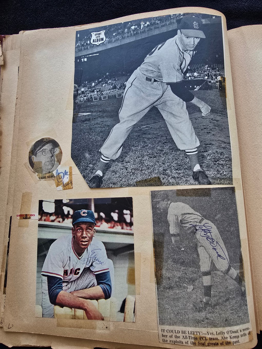 1950s Baseball Football Basketball Scrapbook /w Approximately 350 Autographs Rogers Hornsby x 3 Loaded