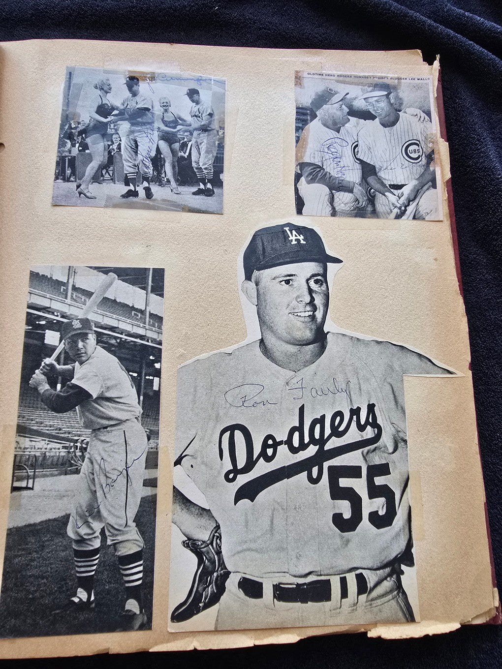 1950s Baseball Football Basketball Scrapbook /w Approximately 350 Autographs Rogers Hornsby x 3 Loaded