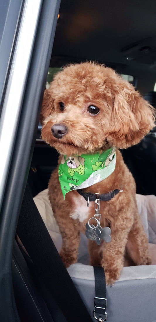 Biggie Smalls TYPE I Original Photo Test