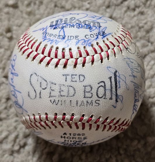 1958 Milwaukee Braves Team Signed AUTO Baseball NL Champs Hank Aaron Mathews