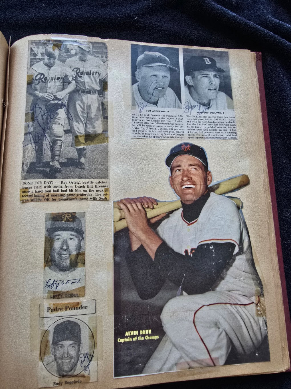 1950s Baseball Football Basketball Scrapbook /w Approximately 350 Autographs Rogers Hornsby x 3 Loaded