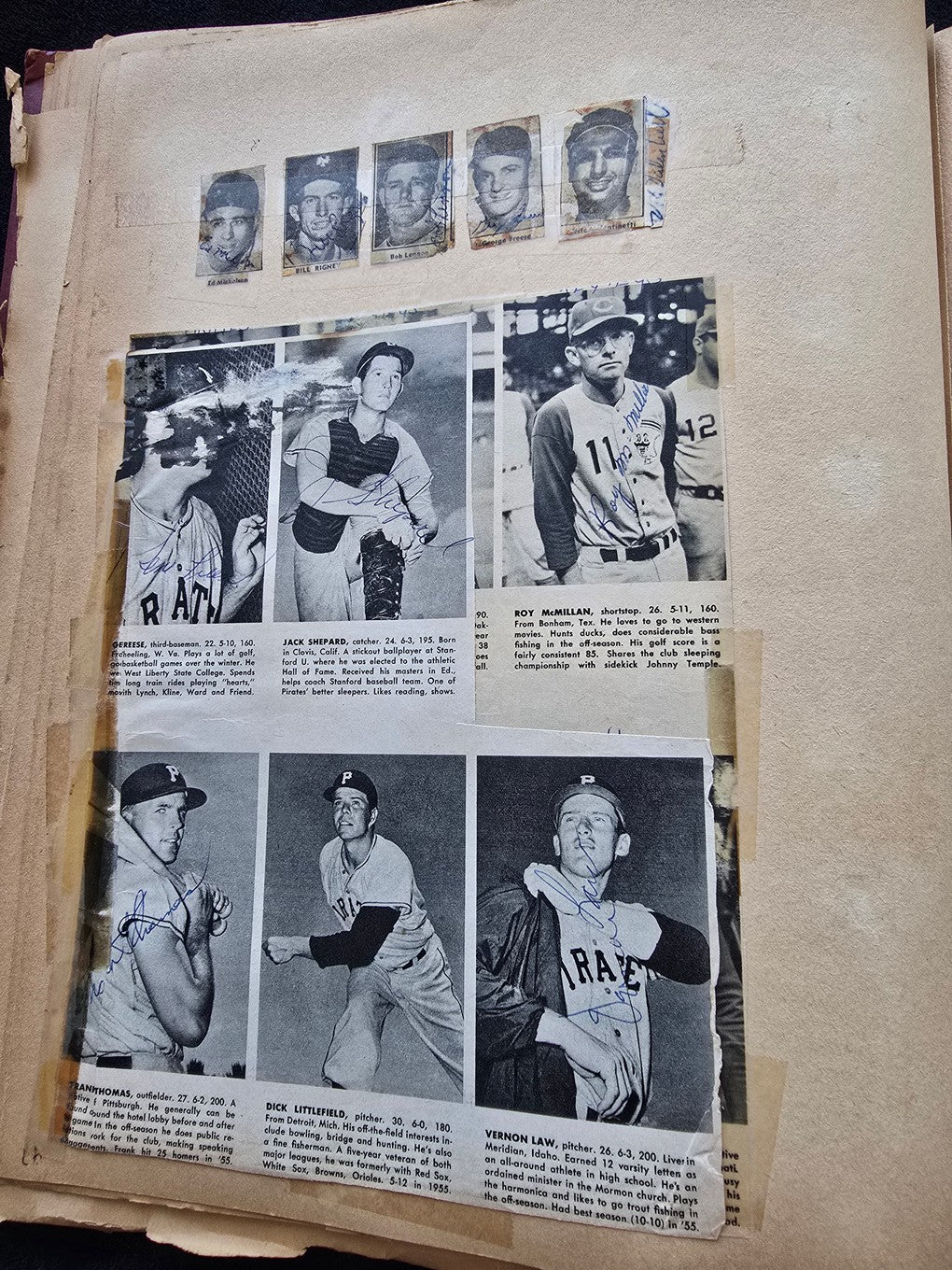 1950s Baseball Football Basketball Scrapbook /w Approximately 350 Autographs Rogers Hornsby x 3 Loaded