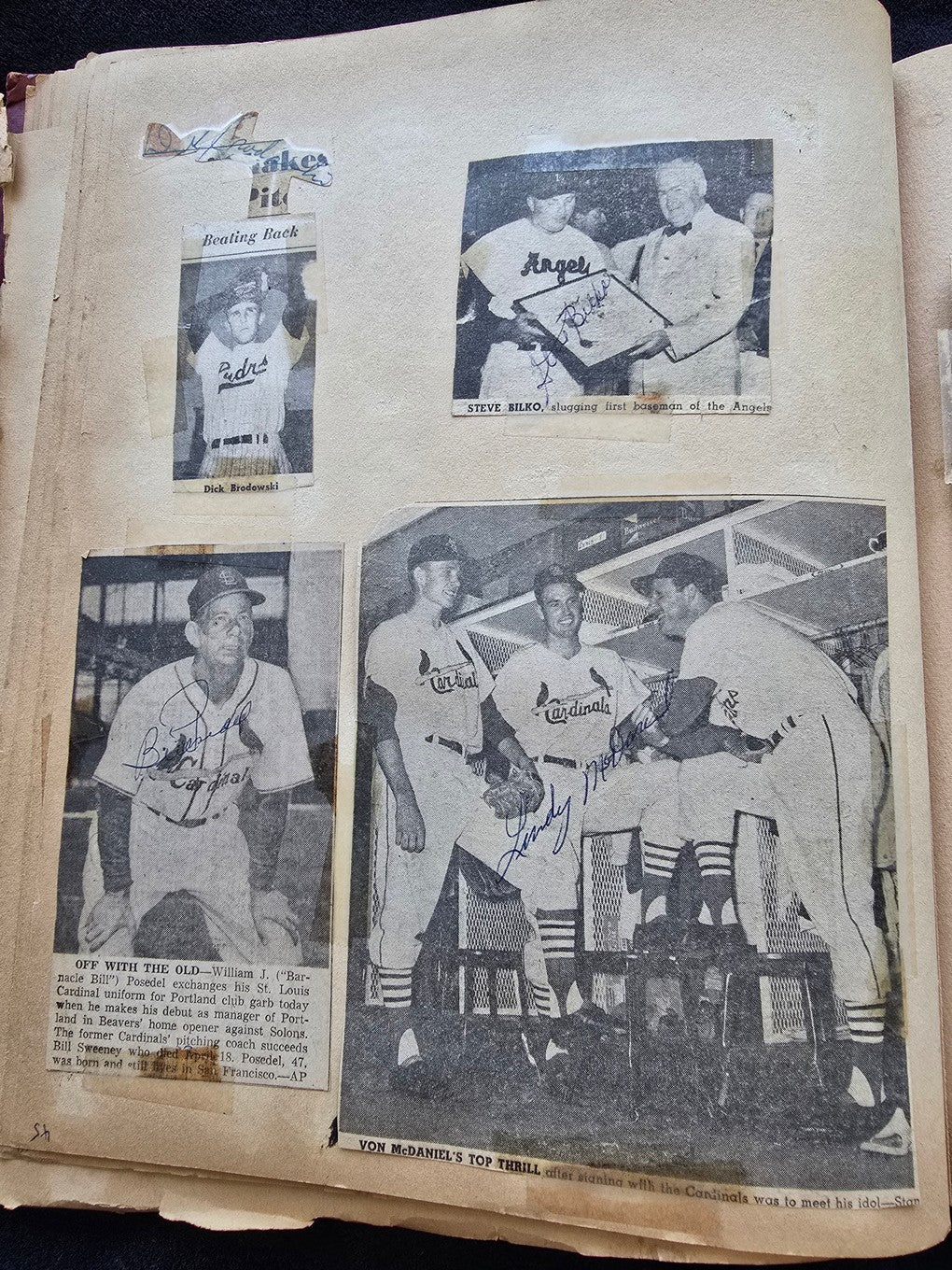 1950s Baseball Football Basketball Scrapbook /w Approximately 350 Autographs Rogers Hornsby x 3 Loaded