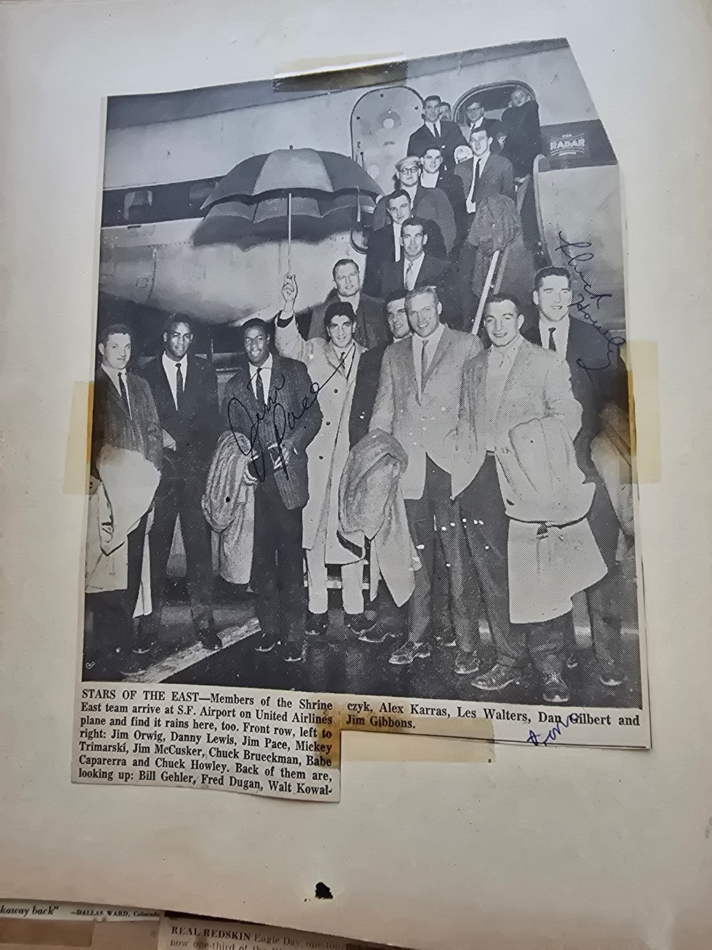 1950s Baseball Football Basketball Scrapbook /w Approximately 350 Autographs Rogers Hornsby x 3 Loaded