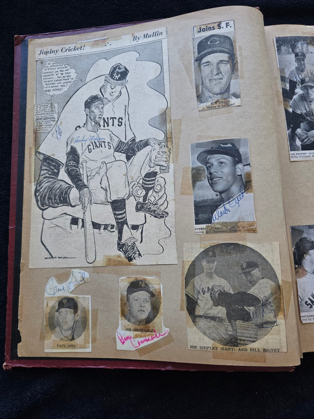 1950s Baseball Football Basketball Scrapbook /w Approximately 350 Autographs Rogers Hornsby x 3 Loaded