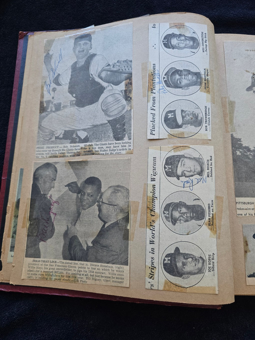 1950s Baseball Football Basketball Scrapbook /w Approximately 350 Autographs Rogers Hornsby x 3 Loaded