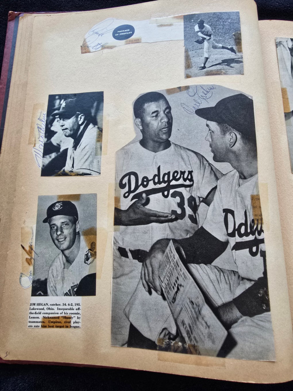 1950s Baseball Football Basketball Scrapbook /w Approximately 350 Autographs Rogers Hornsby x 3 Loaded