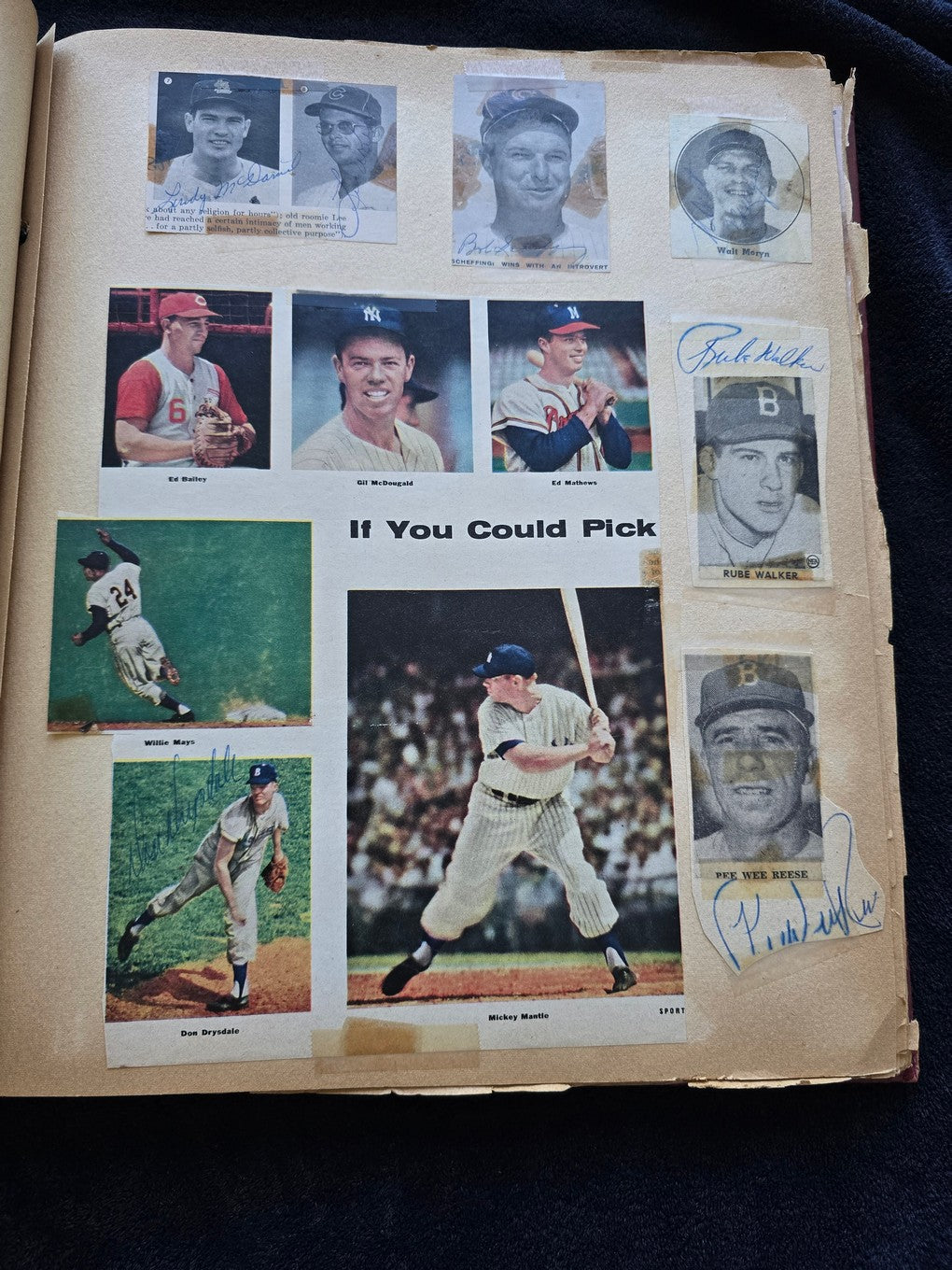 1950s Baseball Football Basketball Scrapbook /w Approximately 350 Autographs Rogers Hornsby x 3 Loaded