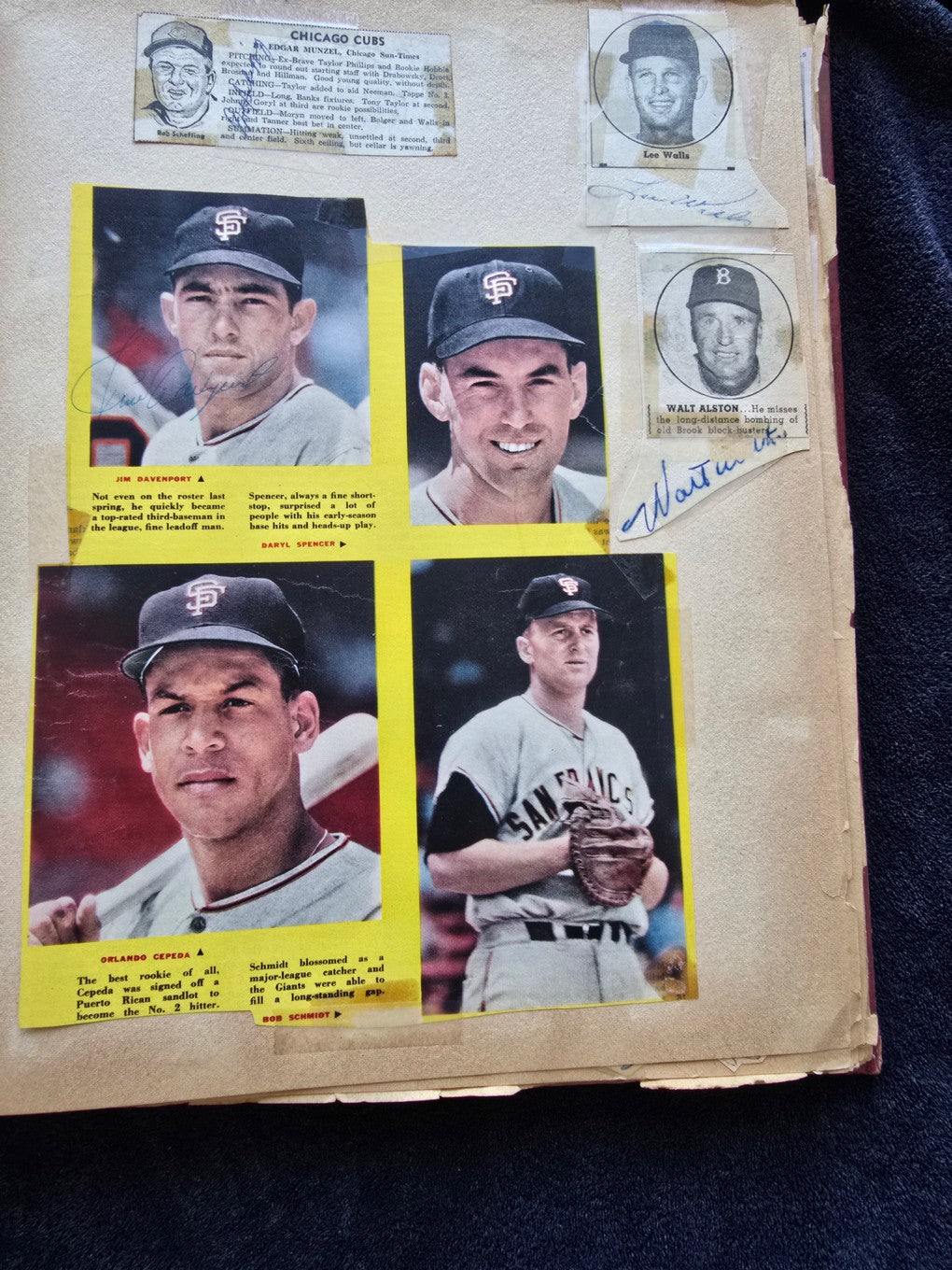1950s Baseball Football Basketball Scrapbook /w Approximately 350 Autographs Rogers Hornsby x 3 Loaded