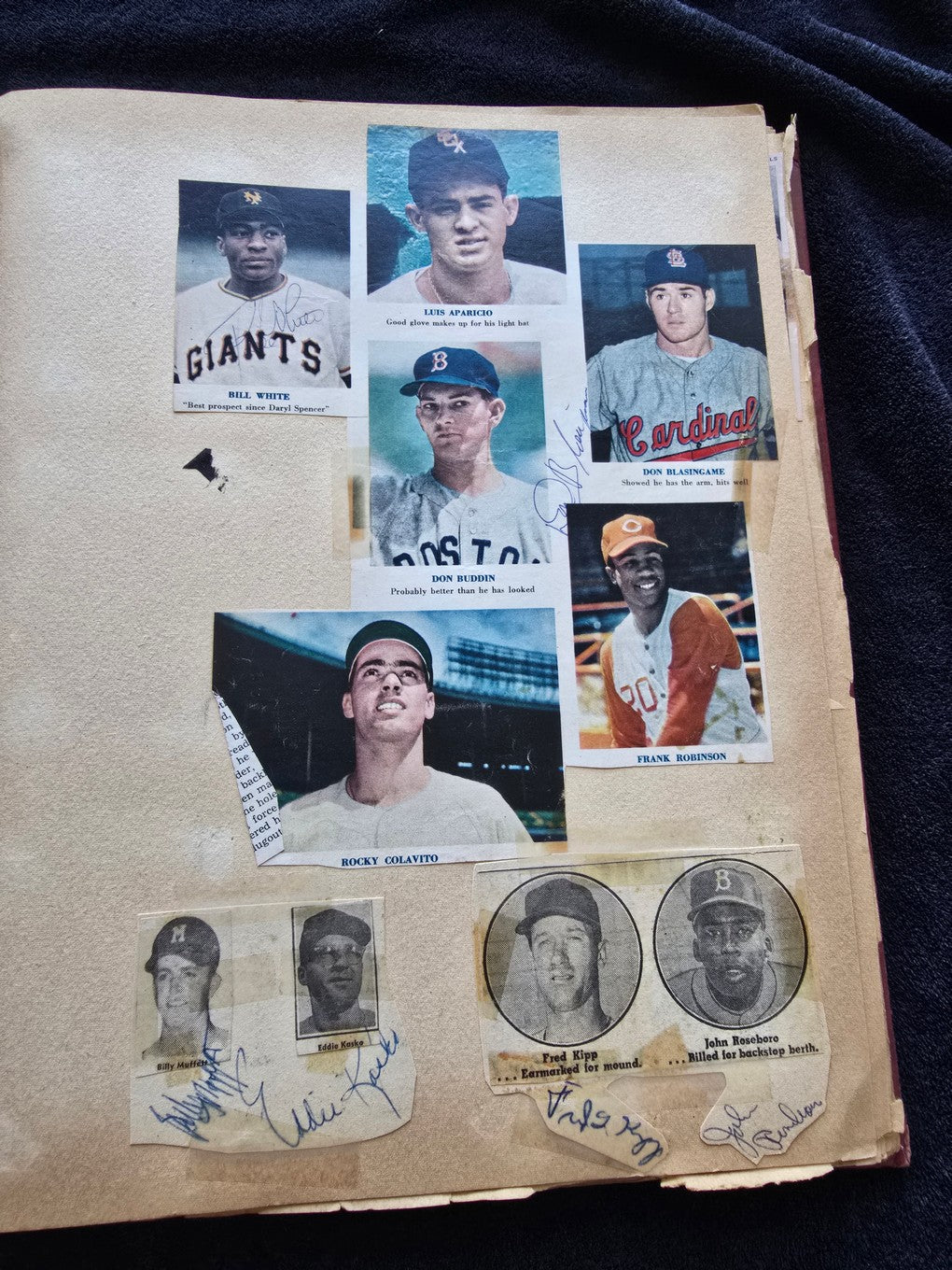 1950s Baseball Football Basketball Scrapbook /w Approximately 350 Autographs Rogers Hornsby x 3 Loaded