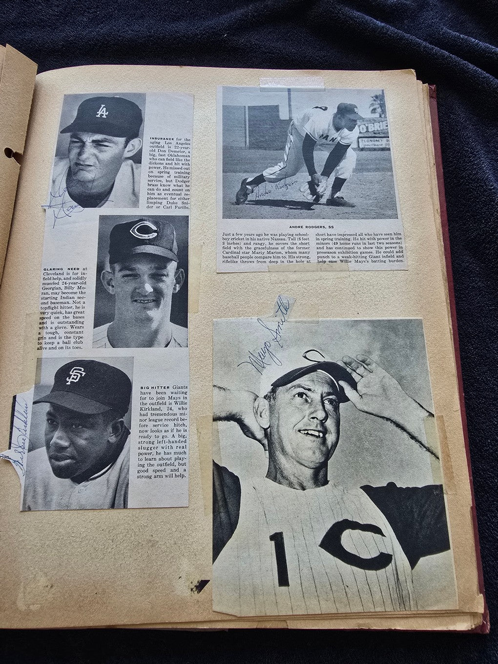 1950s Baseball Football Basketball Scrapbook /w Approximately 350 Autographs Rogers Hornsby x 3 Loaded