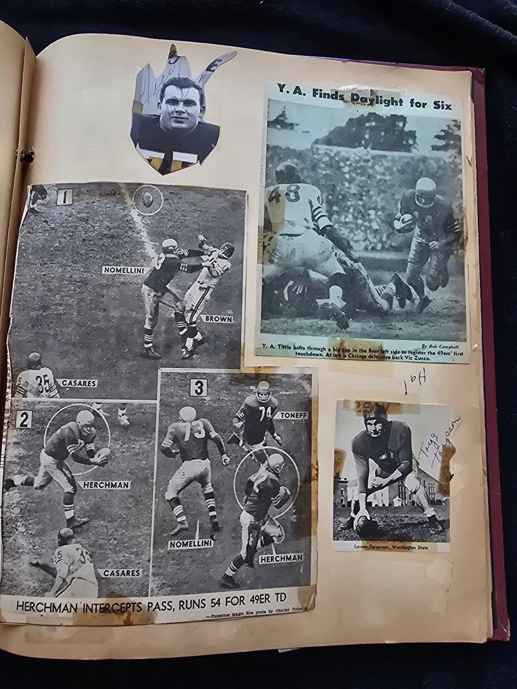 1950s Baseball Football Basketball Scrapbook /w Approximately 350 Autographs Rogers Hornsby x 3 Loaded