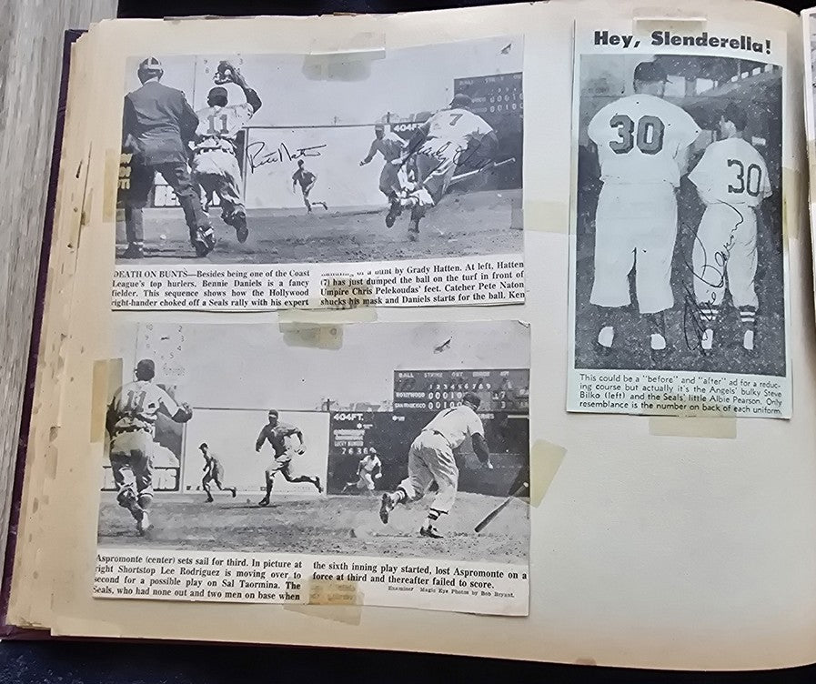1950s Pacific Coast League San Francisco Seals Scrapbook /w Approximately 300 Autographs 14 X Joe Gordon HOF