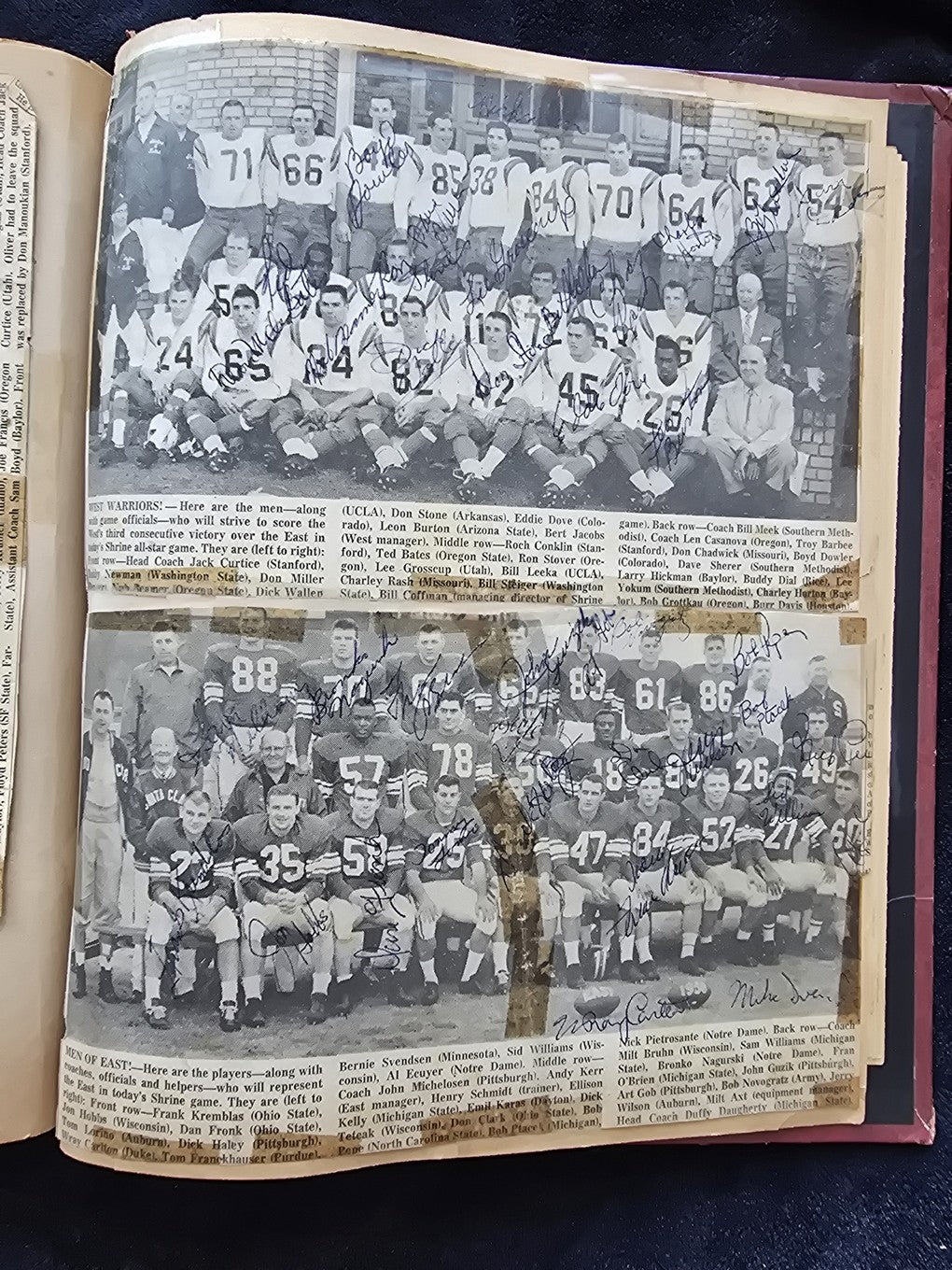 1950s Baseball Football Basketball Scrapbook /w Approximately 350 Autographs Rogers Hornsby x 3 Loaded