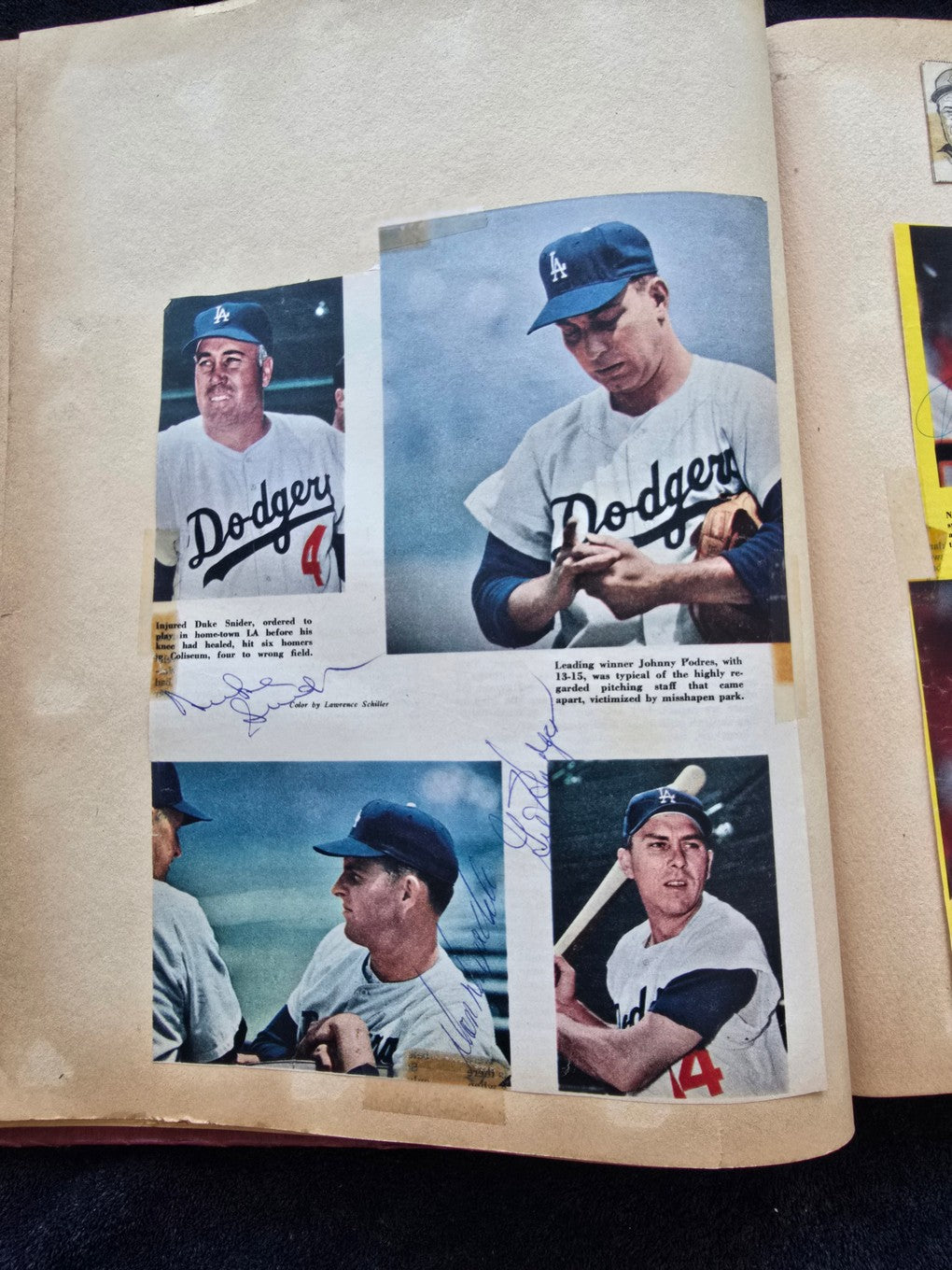 1950s Baseball Football Basketball Scrapbook /w Approximately 350 Autographs Rogers Hornsby x 3 Loaded