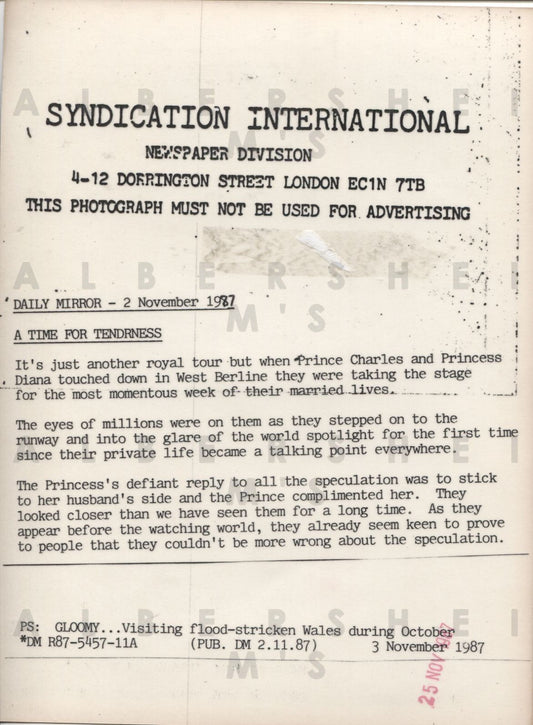 A Time for Tenderness - Prince Charles and Princess Di 1987 Original