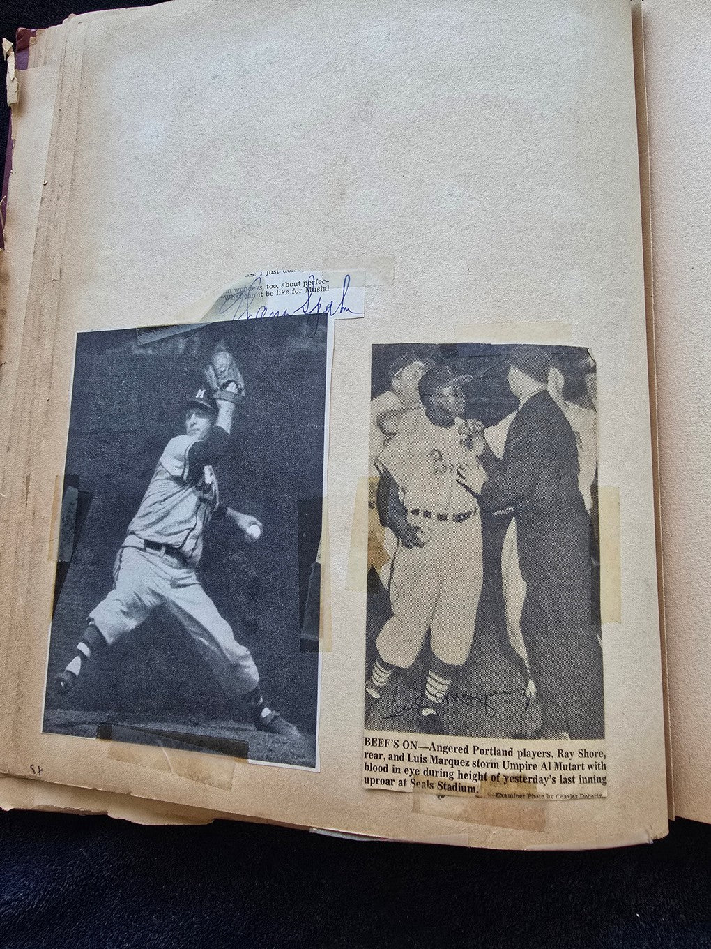 1950s Baseball Football Basketball Scrapbook /w Approximately 350 Autographs Rogers Hornsby x 3 Loaded