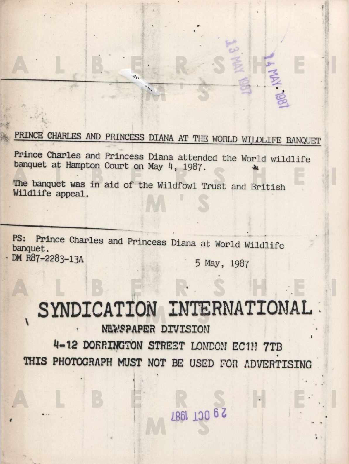 Princess Di and Charles at the World Wildlife Banquet - 1987 Original Photo