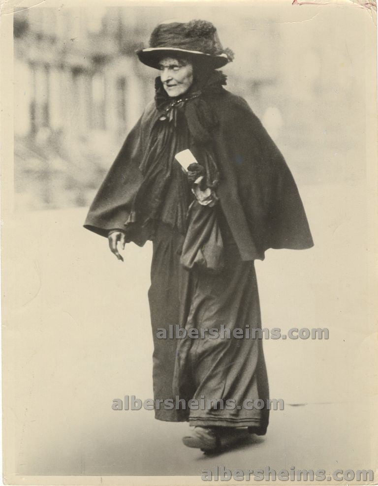 Hetty Green “The Witch of Wall Street” Original Brown Brothers Photo
